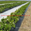 Plant Cover Non-Woven Fabric for Crop Production